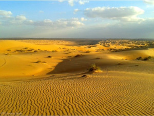Foto del deserto di wahiba sands nell' Oman del nord